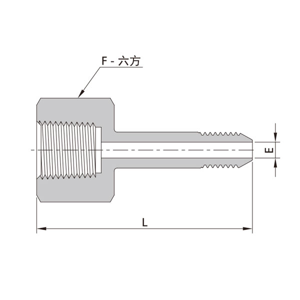 NPT阴螺纹-20中压螺纹管