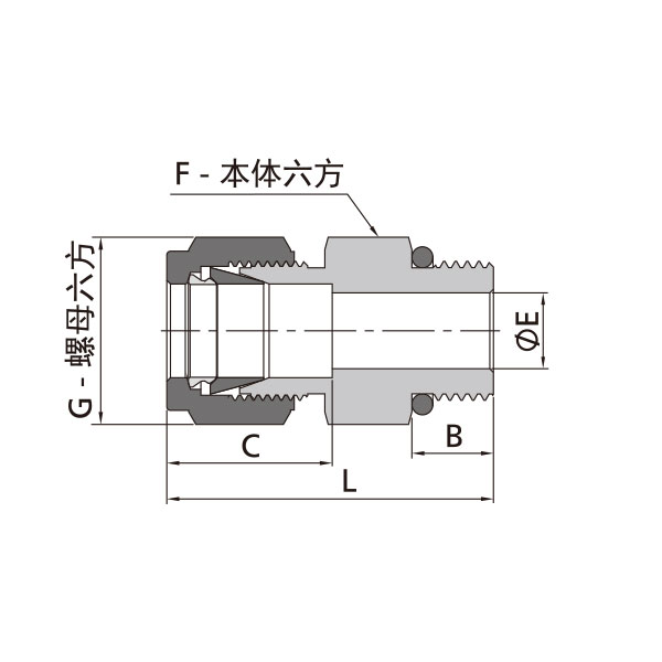 英制卡套转SAE/MS螺纹直通