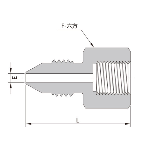 20中压锥面阳螺纹-G阴螺纹